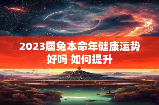 详细阅读:2023属兔本命年健康运势好吗 如何提升 2023属兔本命年健康运势好吗 如何提升