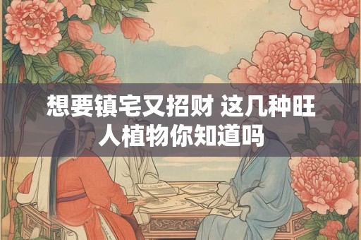 想要镇宅又招财 这几种旺人植物你知道吗