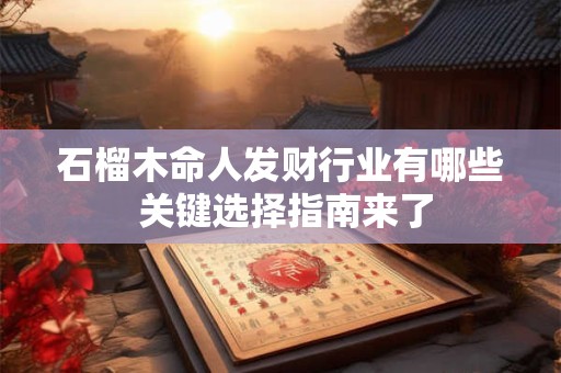 详细阅读:石榴木命人发财行业有哪些 关键选择指南来了 石榴木命人发财行业有哪些 关键选择指南来了