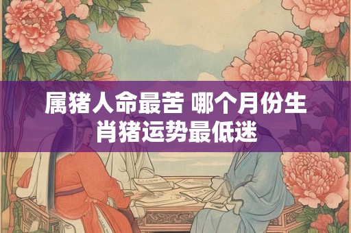 属猪人命最苦 哪个月份生肖猪运势最低迷