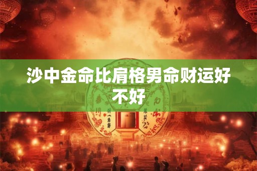沙中金命比肩格男命财运好不好