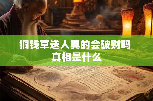 铜钱草送人真的会破财吗 真相是什么