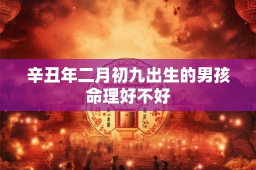 辛丑年二月初九出生的男孩命理好不好