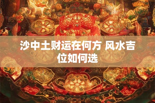 沙中土财运在何方 风水吉位如何选