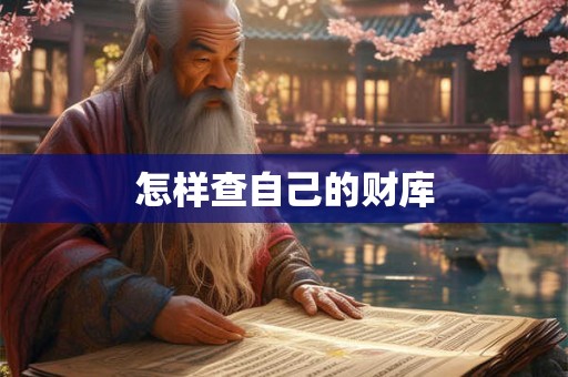 怎样查自己的财库