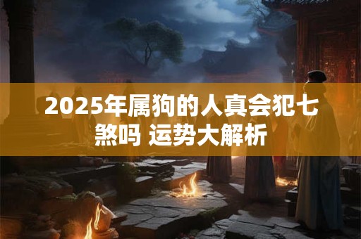 2025年属狗的人真会犯七煞吗 运势大解析