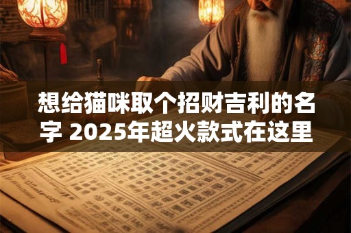 想给猫咪取个招财吉利的名字 2025年超火款式在这里