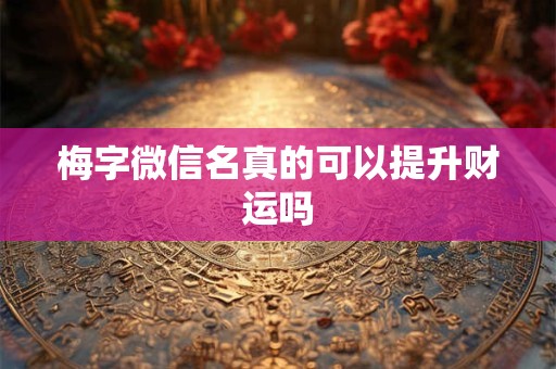 梅字微信名真的可以提升财运吗