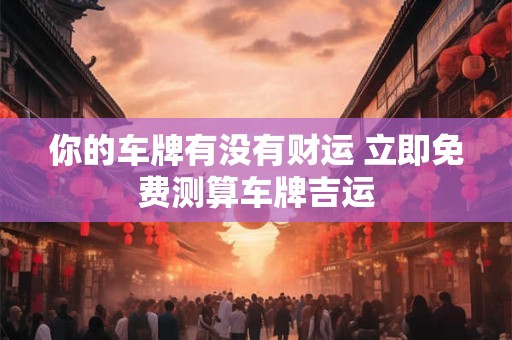 你的车牌有没有财运 立即免费测算车牌吉运