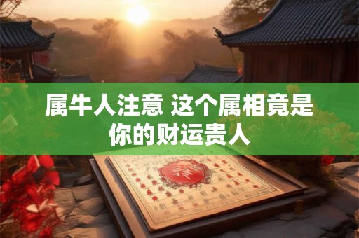 属牛人注意 这个属相竟是你的财运贵人