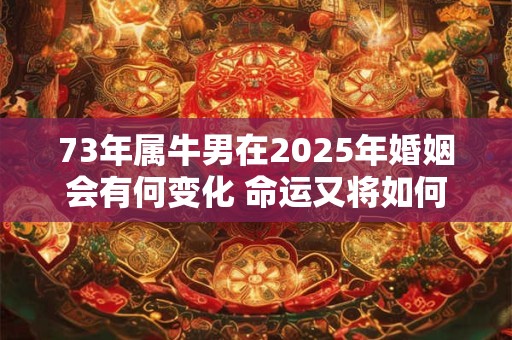 73年属牛男在2025年婚姻会有何变化 命运又将如何转折