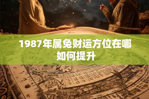 1987年属兔财运方位在哪 如何提升
