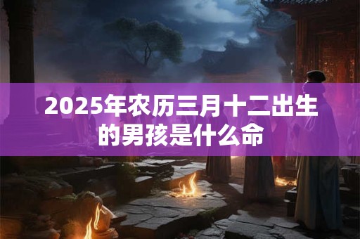 2025年农历三月十二出生的男孩是什么命