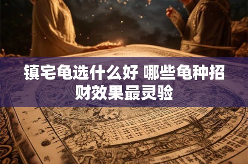 详细阅读:镇宅龟选什么好 哪些龟种招财效果最灵验 镇宅龟选什么好 哪些龟种招财效果最灵验