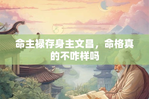命主禄存身主文昌，命格真的不咋样吗