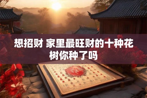 想招财 家里最旺财的十种花树你种了吗