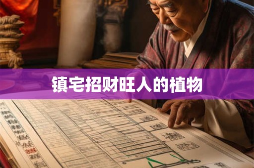 镇宅招财旺人的植物