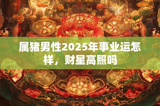 属猪男性2025年事业运怎样，财星高照吗