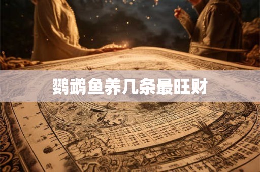 鹦鹉鱼养几条最旺财
