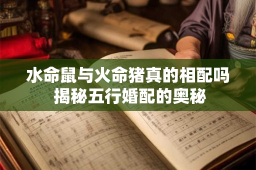 水命鼠与火命猪真的相配吗 揭秘五行婚配的奥秘 水命鼠与火命猪真的相配吗 揭秘五行婚配的奥秘