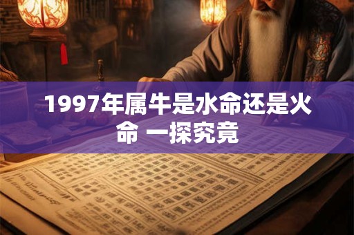 1997年属牛是水命还是火命 一探究竟