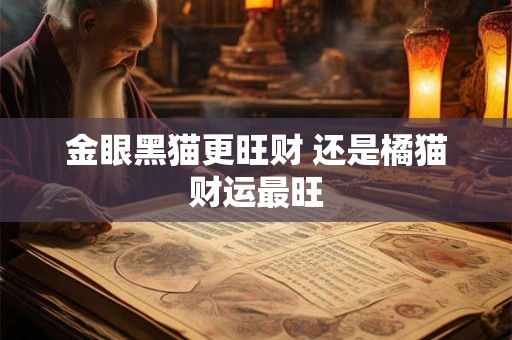 金眼黑猫更旺财 还是橘猫财运最旺