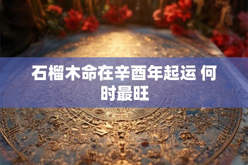石榴木命在辛酉年起运 何时最旺