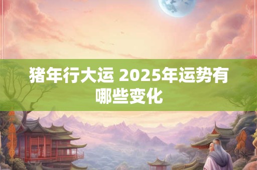 猪年行大运 2025年运势有哪些变化