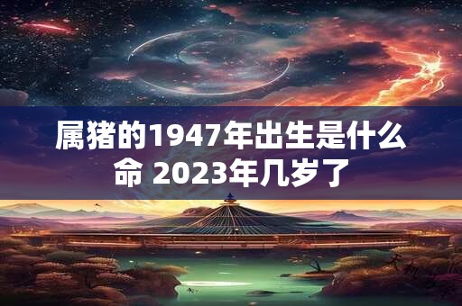 属猪的1947年出生是什么命 2023年几岁了