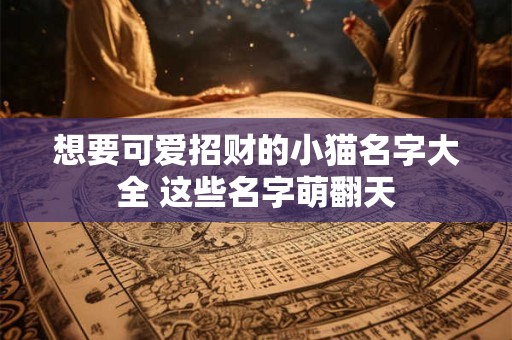 想要可爱招财的小猫名字大全 这些名字萌翻天
