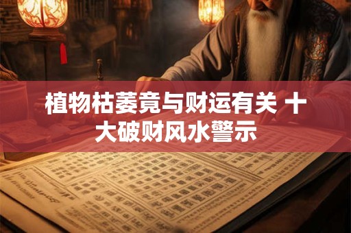 植物枯萎竟与财运有关 十大破财风水警示