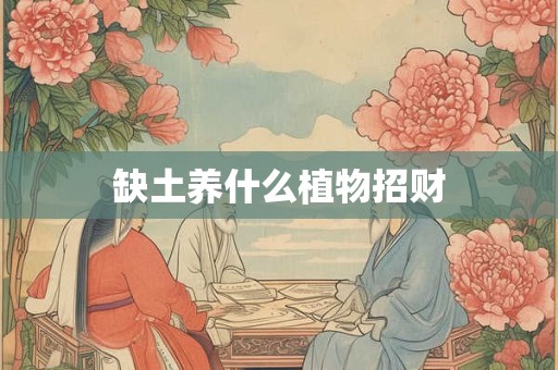 缺土养什么植物招财