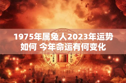 1975年属兔人2023年运势如何 今年命运有何变化
