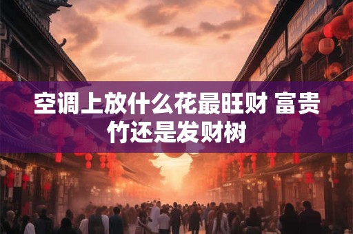 空调上放什么花最旺财 富贵竹还是发财树