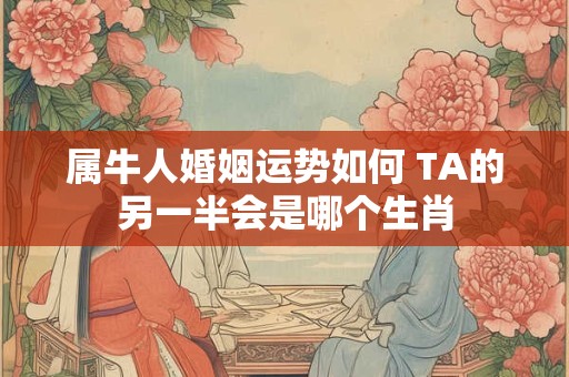 属牛人婚姻运势如何 TA的另一半会是哪个生肖