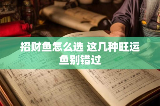 招财鱼怎么选 这几种旺运鱼别错过
