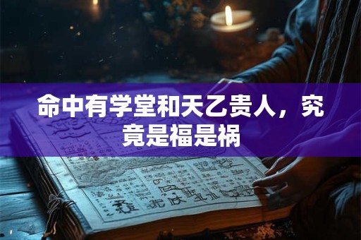 命中有学堂和天乙贵人，究竟是福是祸