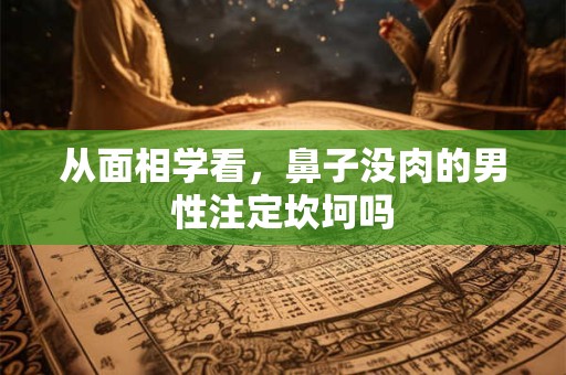 详细阅读:从面相学看,鼻子没肉的男性注定坎坷吗 从面相学看,鼻子没肉的男性注定坎坷吗