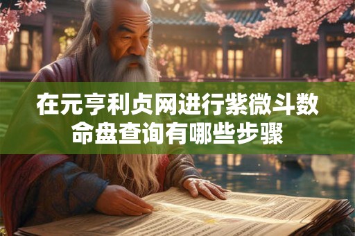 在元亨利贞网进行紫微斗数命盘查询有哪些步骤