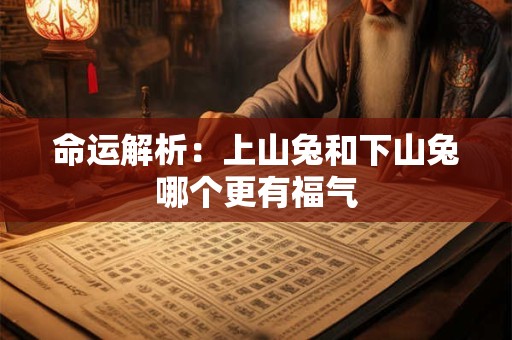 命运解析：上山兔和下山兔哪个更有福气