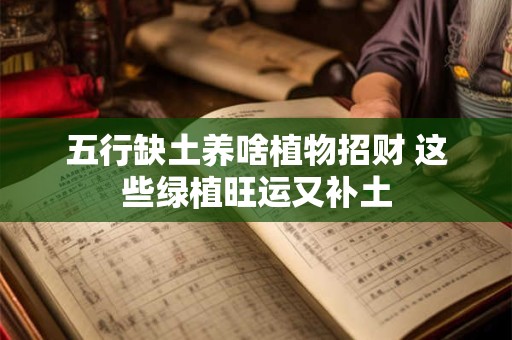 五行缺土养啥植物招财 这些绿植旺运又补土