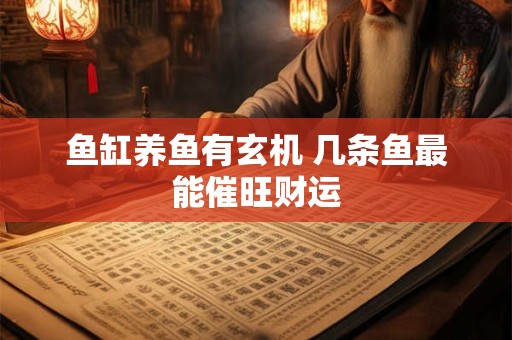 鱼缸养鱼有玄机 几条鱼最能催旺财运