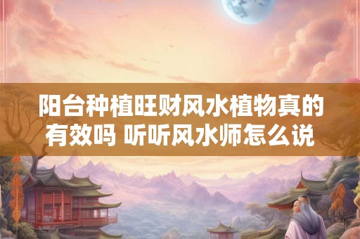 阳台种植旺财风水植物真的有效吗 听听风水师怎么说