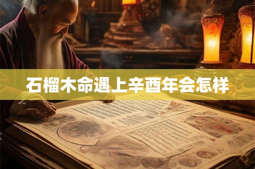 石榴木命遇上辛酉年会怎样