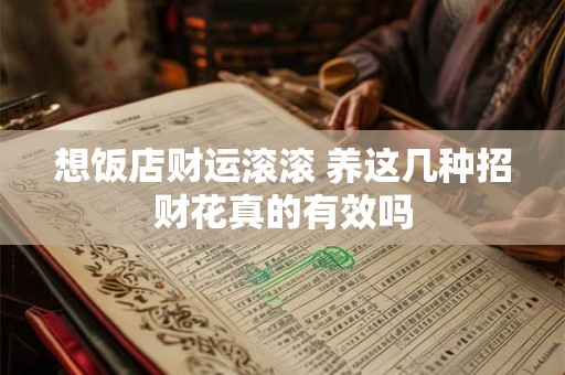 想饭店财运滚滚 养这几种招财花真的有效吗