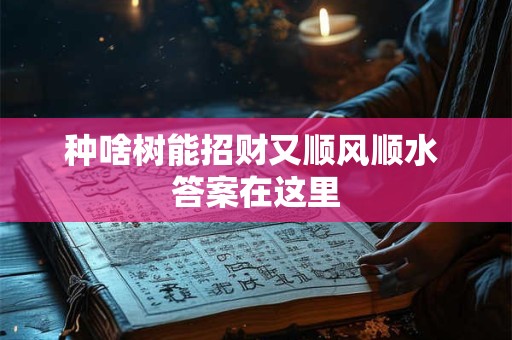 种啥树能招财又顺风顺水 答案在这里