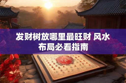 发财树放哪里最旺财 风水布局必看指南