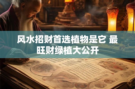 风水招财首选植物是它 最旺财绿植大公开