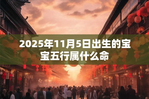2025年11月5日出生的宝宝五行属什么命