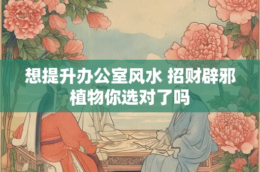 想提升办公室风水 招财辟邪植物你选对了吗